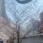 ヒメ日記 2026/03/29 12:18 投稿 翠(すい) 相模原人妻城