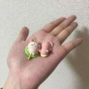 ヒメ日記 2026/03/29 21:37 投稿 篠宮いとか 奴隷志願！変態調教飼育クラブ梅田店