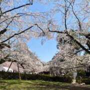 ヒメ日記 2026/04/22 10:53 投稿 うい ちらりずむ 札幌校