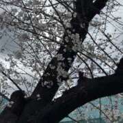 えりか こんばんは！ 即トク奥さん