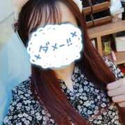 ヒメ日記 2026/04/03 07:01 投稿 桃尻 愛花 人妻セレブ宮殿