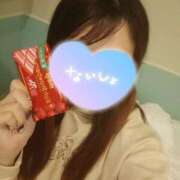 ヒメ日記 2026/04/03 23:30 投稿 桃尻 愛花 人妻セレブ宮殿