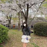 ヒメ日記 2026/04/08 12:36 投稿 日向かおる Claris Tokyo～クラリス東京～