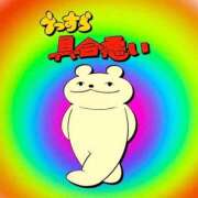 ヒメ日記 2026/04/22 12:08 投稿 れおな ギャルサー