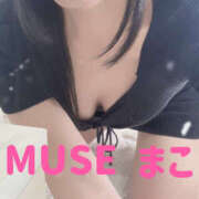ヒメ日記 2026/06/02 16:02 投稿 まこ Muse（ミューズ）