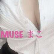 ヒメ日記 2026/06/03 15:02 投稿 まこ Muse（ミューズ）