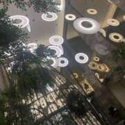 ヒメ日記 2026/03/26 00:48 投稿 みらい エンジェルエステplus