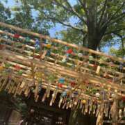 ヒメ日記 2026/04/09 01:48 投稿 みらい エンジェルエステplus