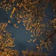 ヒメ日記 2026/04/26 12:38 投稿 ひめ わちゃわちゃ密着リアルフルーちゅ西船橋