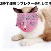 ヒメ日記 2026/04/07 11:41 投稿 あやね 桜色学園