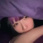 ヒメ日記 2026/04/17 08:41 投稿 あやね 桜色学園