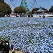 ヒメ日記 2026/04/26 22:31 投稿 あやね 桜色学園