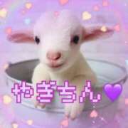 あやね 4日♡﻿ラブレター♡﻿ 桜色学園