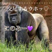 ヒメ日記 2026/07/03 12:51 投稿 あやね 桜色学園