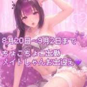 ヒメ日記 2026/08/19 10:23 投稿 あやね 桜色学園