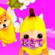 ヒメ日記 2026/08/26 11:11 投稿 あやね 桜色学園