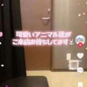 ヒメ日記 2026/09/01 17:51 投稿 あやね 桜色学園