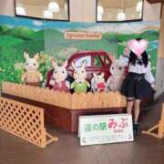 ヒメ日記 2026/09/10 17:21 投稿 あやね 桜色学園