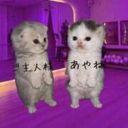 ヒメ日記 2026/09/14 12:22 投稿 あやね 桜色学園