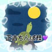 ヒメ日記 2026/09/18 12:51 投稿 あやね 桜色学園