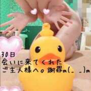 ヒメ日記 2026/10/01 13:09 投稿 あやね 桜色学園