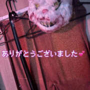 ヒメ日記 2026/10/15 21:31 投稿 あやね 桜色学園
