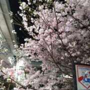 ヒメ日記 2026/04/23 12:26 投稿 空野麦 五十路マダムエクスプレス横浜店（カサブランカグループ）