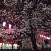 ヒメ日記 2026/05/17 18:04 投稿 空野麦 五十路マダムエクスプレス横浜店（カサブランカグループ）