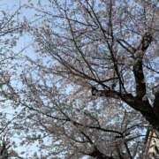 ヒメ日記 2026/03/29 20:25 投稿 岡田 しずか セカンドパートナー池袋