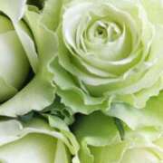 Yuriko 出勤? ワンカラット～人妻の輝き～