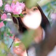 ヒメ日記 2026/03/25 15:11 投稿 メイ ソープランド マックス