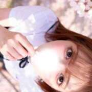 ヒメ日記 2026/03/26 11:55 投稿 メイ ソープランド マックス