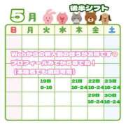 ヒメ日記 2026/05/18 09:12 投稿 メイ ソープランド マックス