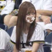 ヒメ日記 2026/05/19 11:31 投稿 メイ ソープランド マックス