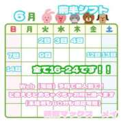 ヒメ日記 2026/05/31 12:08 投稿 メイ ソープランド マックス