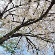 りあん 最後1枠 空いてます❤ 熟女家 東大阪店（布施・長田）