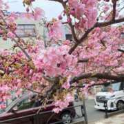 ヒメ日記 2026/03/28 11:01 投稿 ももこ 丸妻 新横浜店