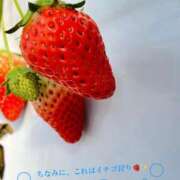 ヒメ日記 2026/04/02 21:33 投稿 ももこ 丸妻 新横浜店