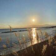 ヒメ日記 2026/04/06 16:09 投稿 ももこ 丸妻 新横浜店