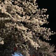 こは おはよう！ 秋葉原コスプレ学園in仙台