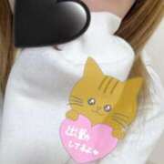 ヒメ日記 2026/03/24 14:03 投稿 じゅり DOLCE