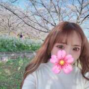 ヒメ日記 2026/04/02 18:43 投稿 りんな アラモード