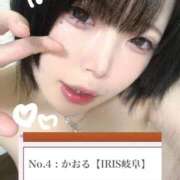 ヒメ日記 2026/09/19 15:22 投稿 かおる IRIS(岐阜)