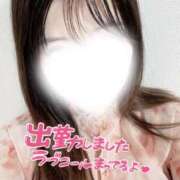 ヒメ日記 2026/04/08 15:03 投稿 えれな【息を呑む美貌】 La.qoo　金沢本店