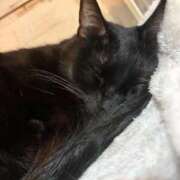 ヒメ日記 2026/04/13 13:31 投稿 ゆあ♡抱き心地抜群♡18歳未経験 ラブチャンス(福岡)