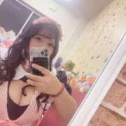 ヒメ日記 2026/04/07 15:45 投稿 こはる 山梨甲府甲斐ちゃんこ