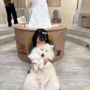 ヒメ日記 2026/03/25 19:36 投稿 みこ E+アイドルスクール