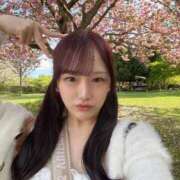 ヒメ日記 2026/04/29 21:07 投稿 みこ E+アイドルスクール