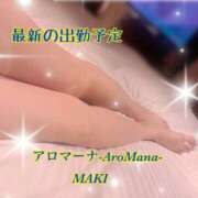 ヒメ日記 2026/08/22 13:14 投稿 （松本市発）まき先生 アロマーナ