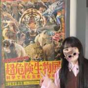 ヒメ日記 2026/04/05 13:16 投稿 もね(新人割6/19まで) ニュー不夜城